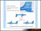 Preview: EEP glider orange, 48cm wingspan