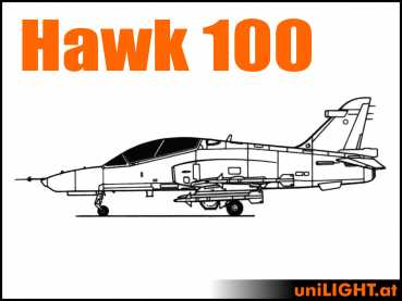 Bundle Hawk 100, 1:4, ca. 2.5m Spannweite