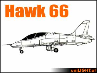 Bundle Hawk 66, 1:3, ca. 3.3m Spannweite