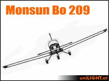 Bundle Monsun, 1:2.9, ca. 3.1m wingspan