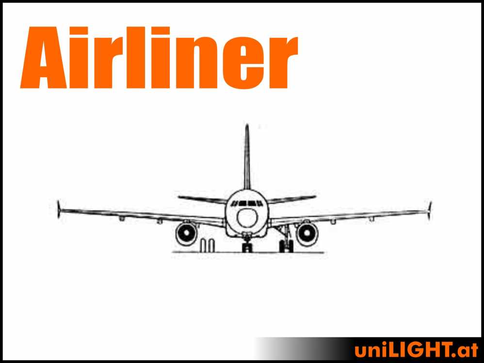 Bundle Airliner, 1:8 ca. 3.7m wingspan