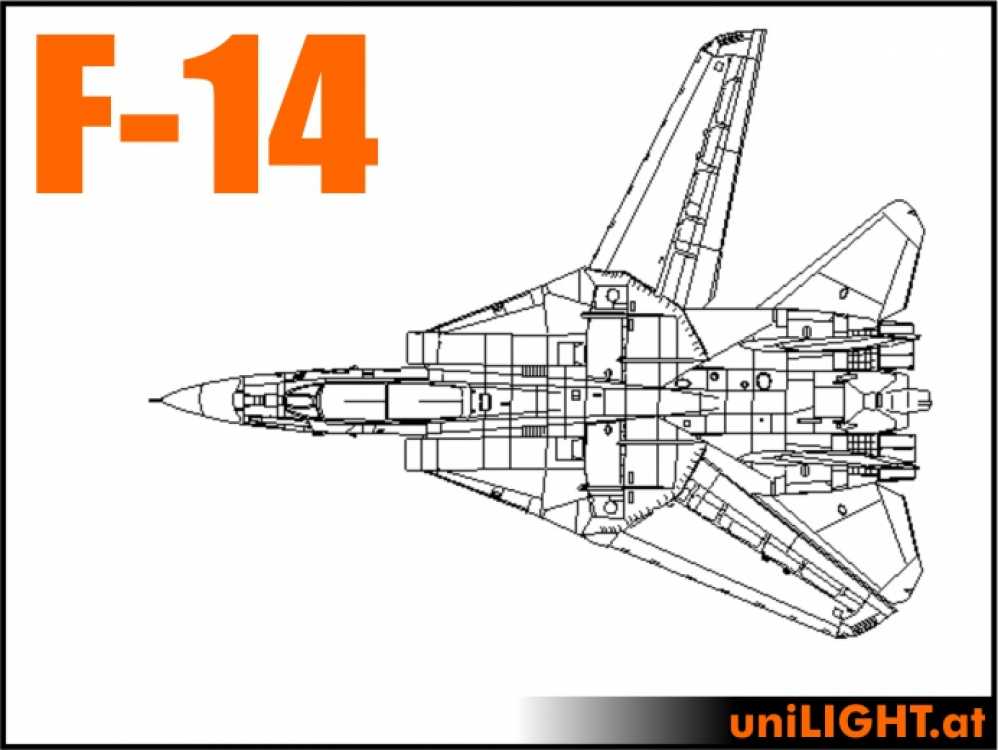 Bundle F-14 Tomcat, 1:10, ca. 2m wingspan