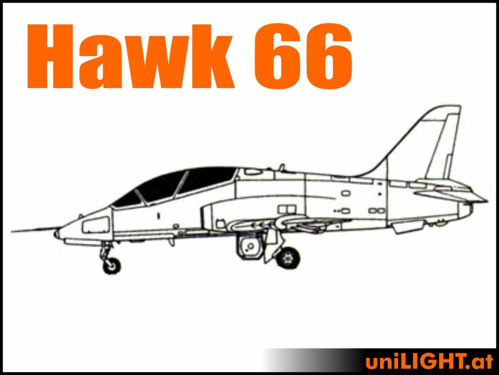 Bundle Hawk 66, 1:5, ca. 2m Spannweite