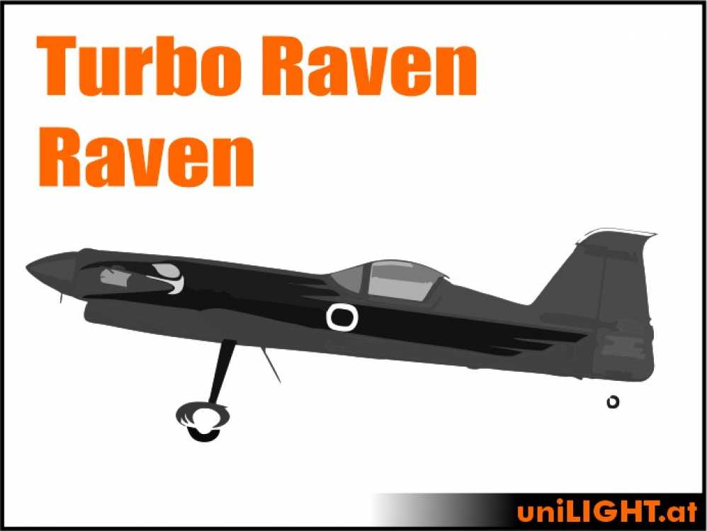 Bundle Raven and Turboraven, 1:2.5, ca. 3m wingspan