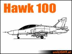 Bundle Hawk 100, 1:7, ~1.5m wingspan