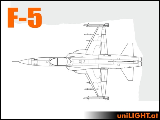 [BND-F5-7-ENT] Northrop F-5 und F-20 (1:7, 1.9m, ENTRY)